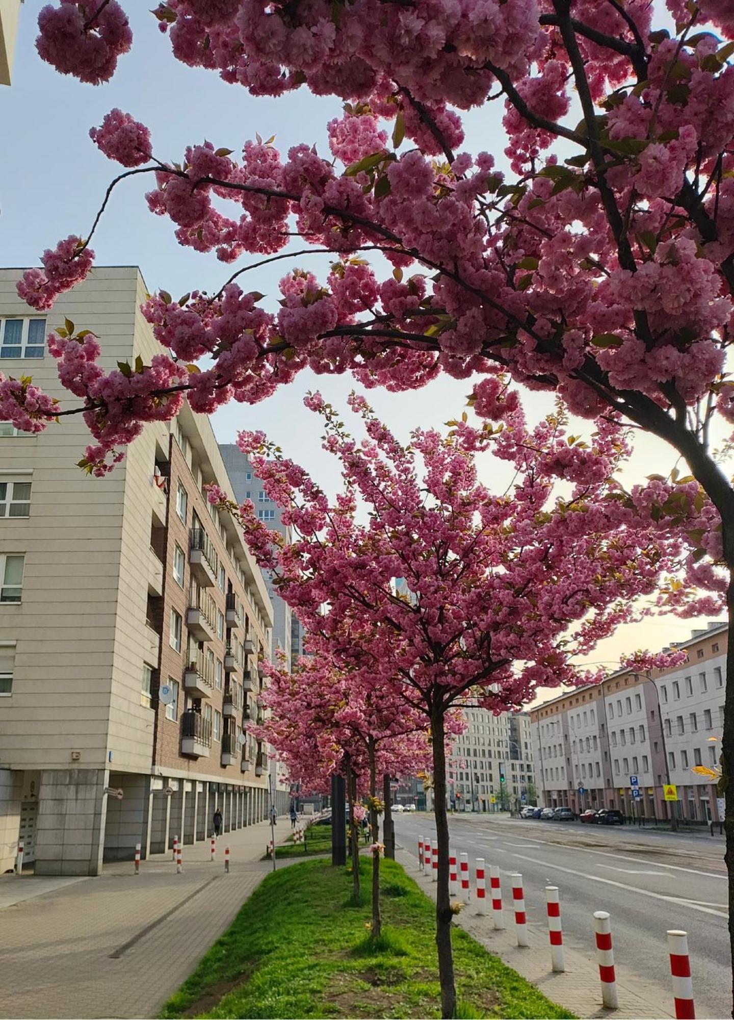 Totutotam Studio Varşovia Exterior foto