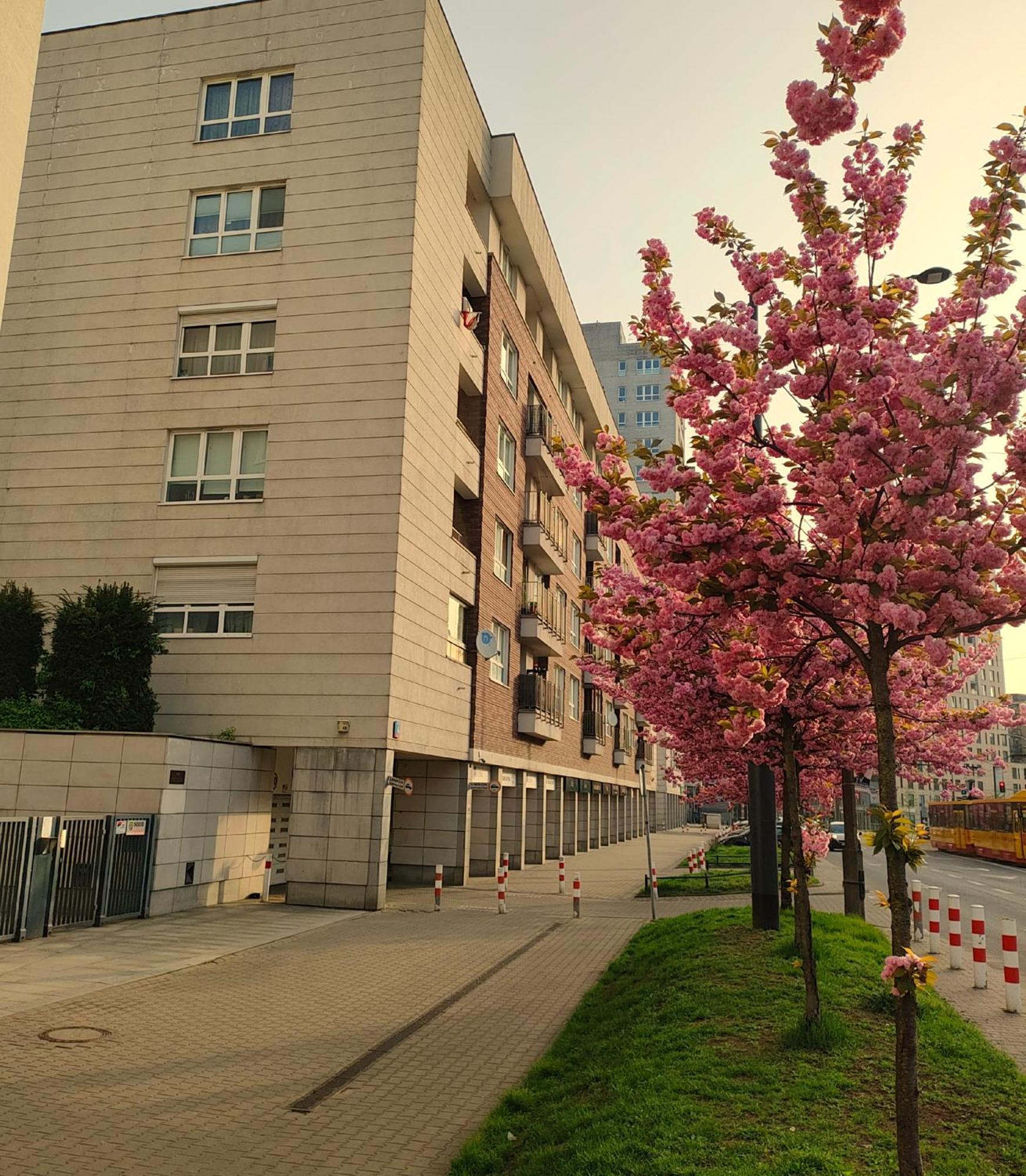 Totutotam Studio Varşovia Exterior foto